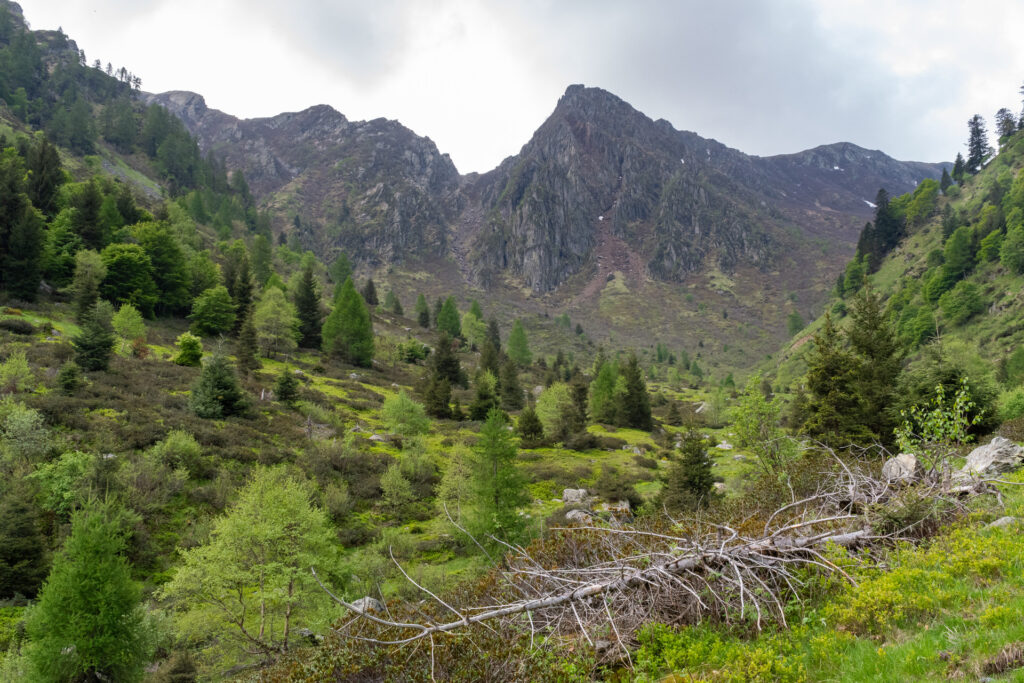 paysage alpin tessinois